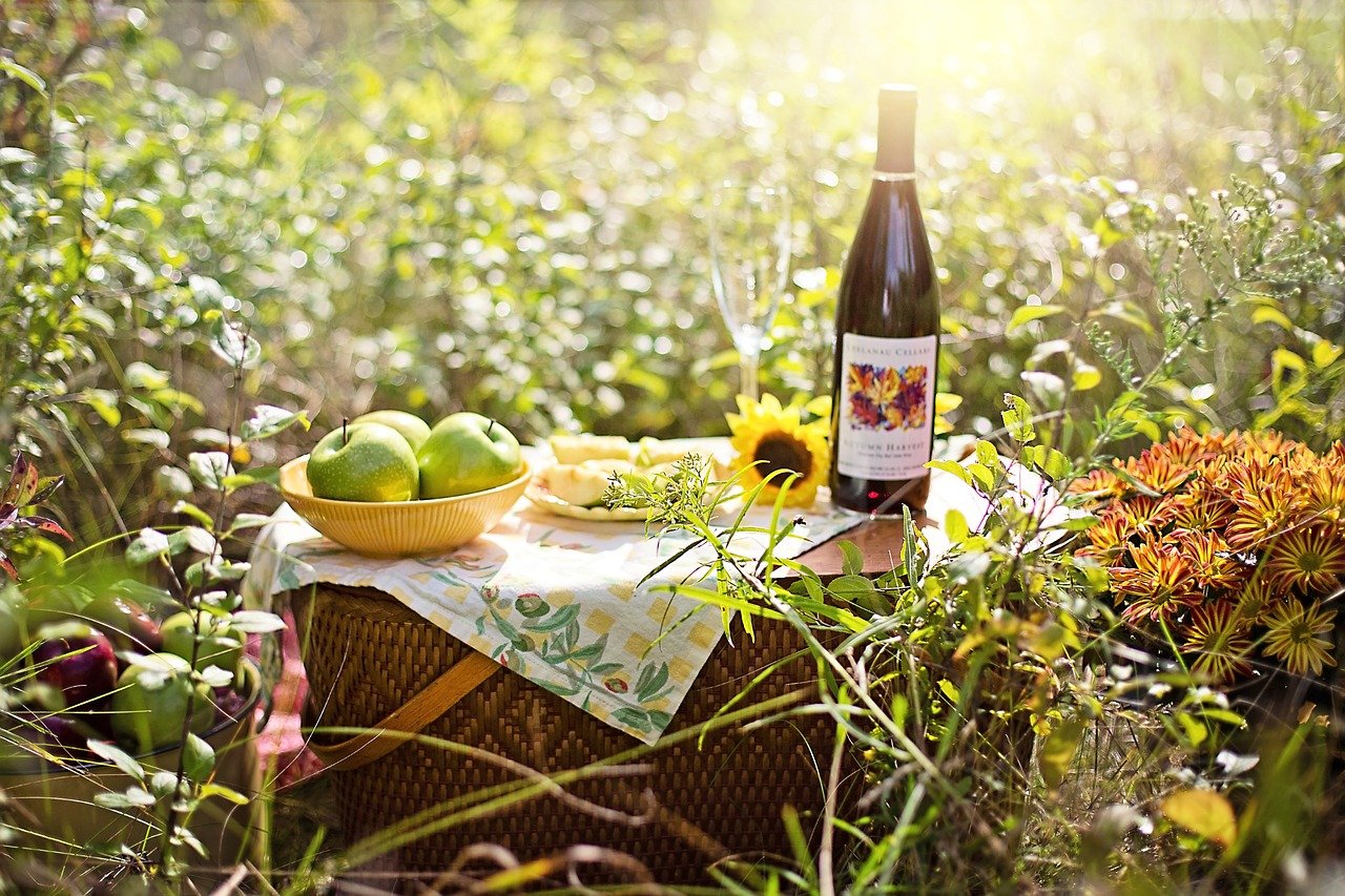 Essen und Trinken in der Natur: Picknick-Kultur