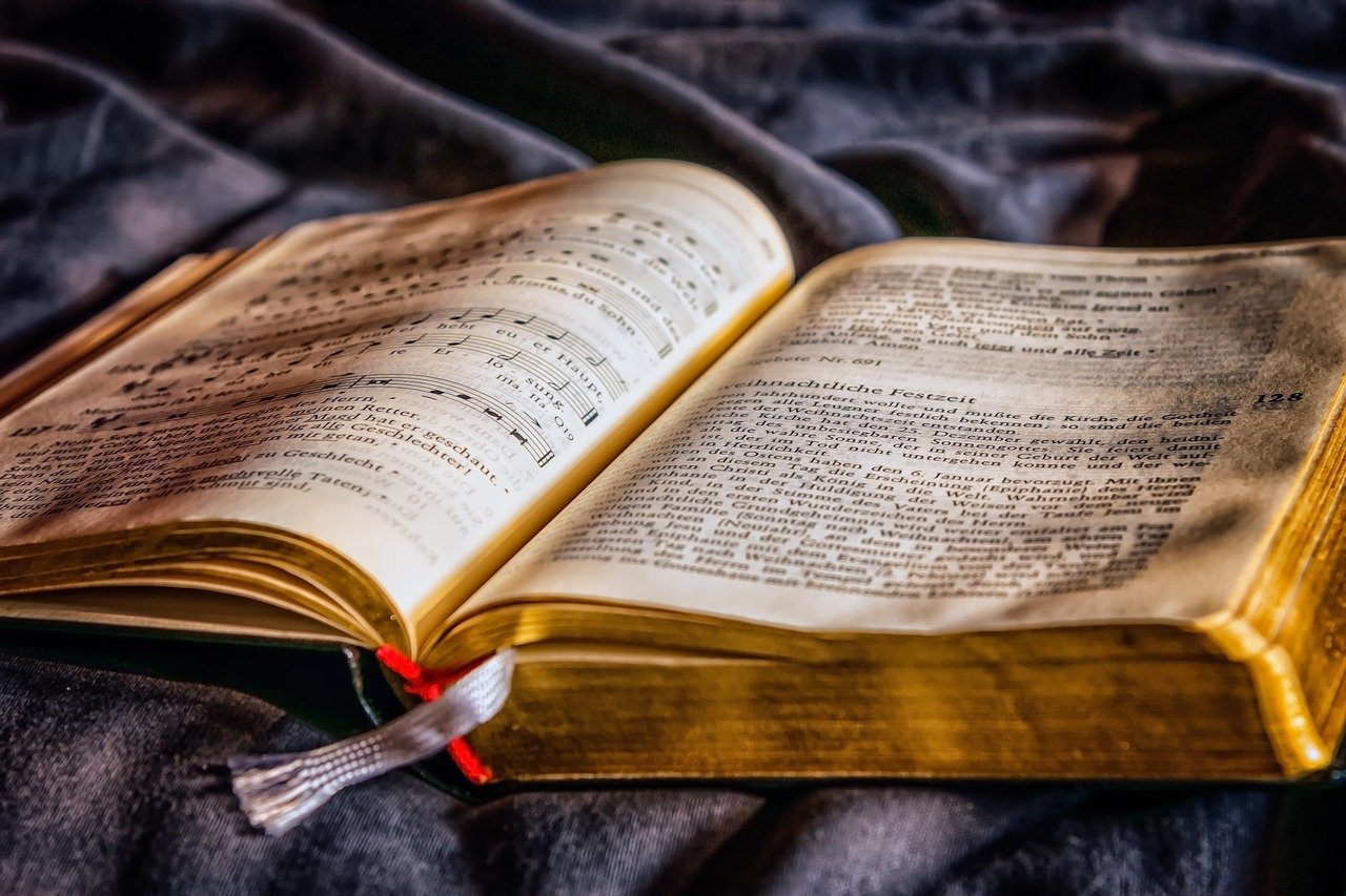 Die besten lesetipps für buchliebhaber