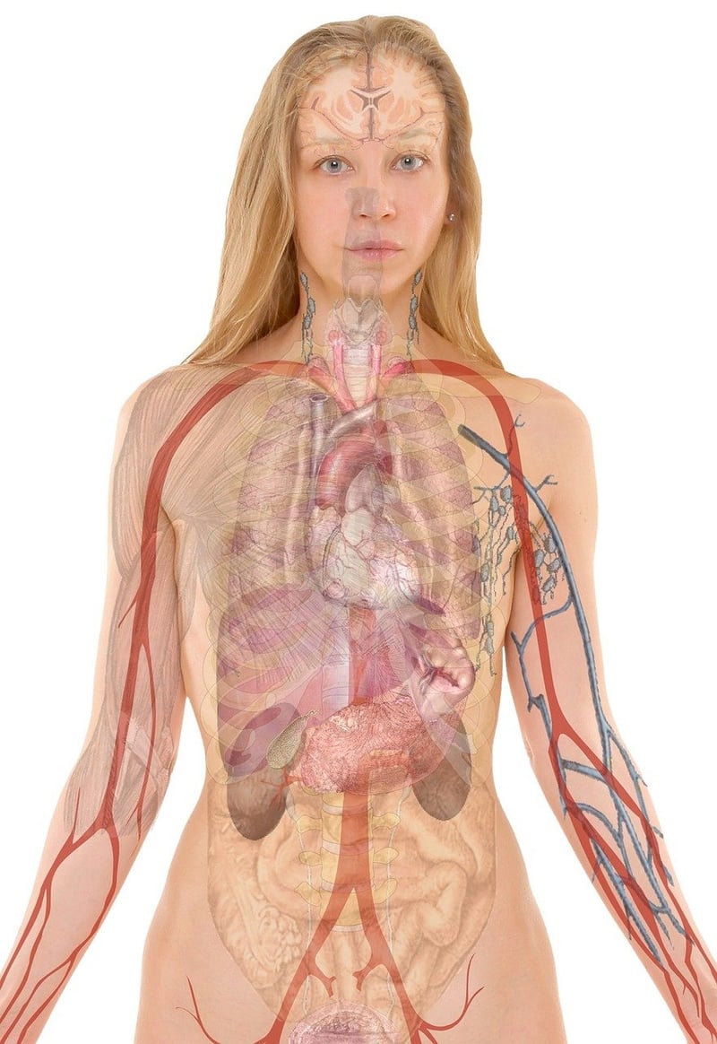 Lungenkrebs: moderne diagnostische Methoden und innovative Therapien im Überblick