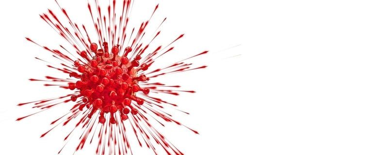COVID-19: das Virus SARS-CoV-2 und seine Auswirkungen auf die Gesellschaft
