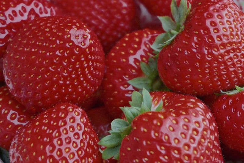 Brunch auf dem Bauernhof 2025: Kulinarische Erlebnisse und Naturschutz mit Messer und Gabel