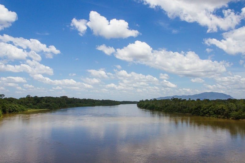 Wie eine Reise in den Amazonas zur Rettung des Regenwaldes beitragen kann