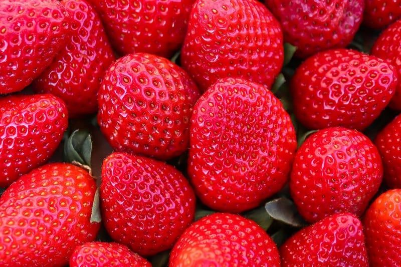 Essen & Trinken: Veggie bleibt stark trotz der Schließung von Lokalen