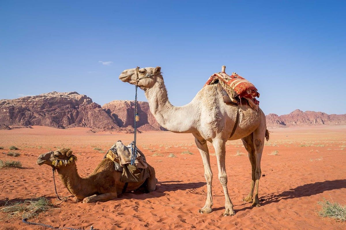 Eintauchen in versteckte Naturpools: Wadi-Erkundungstouren im Oman