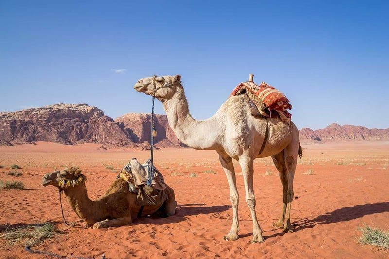 Eintauchen in versteckte Naturpools: Wadi-Erkundungstouren im Oman