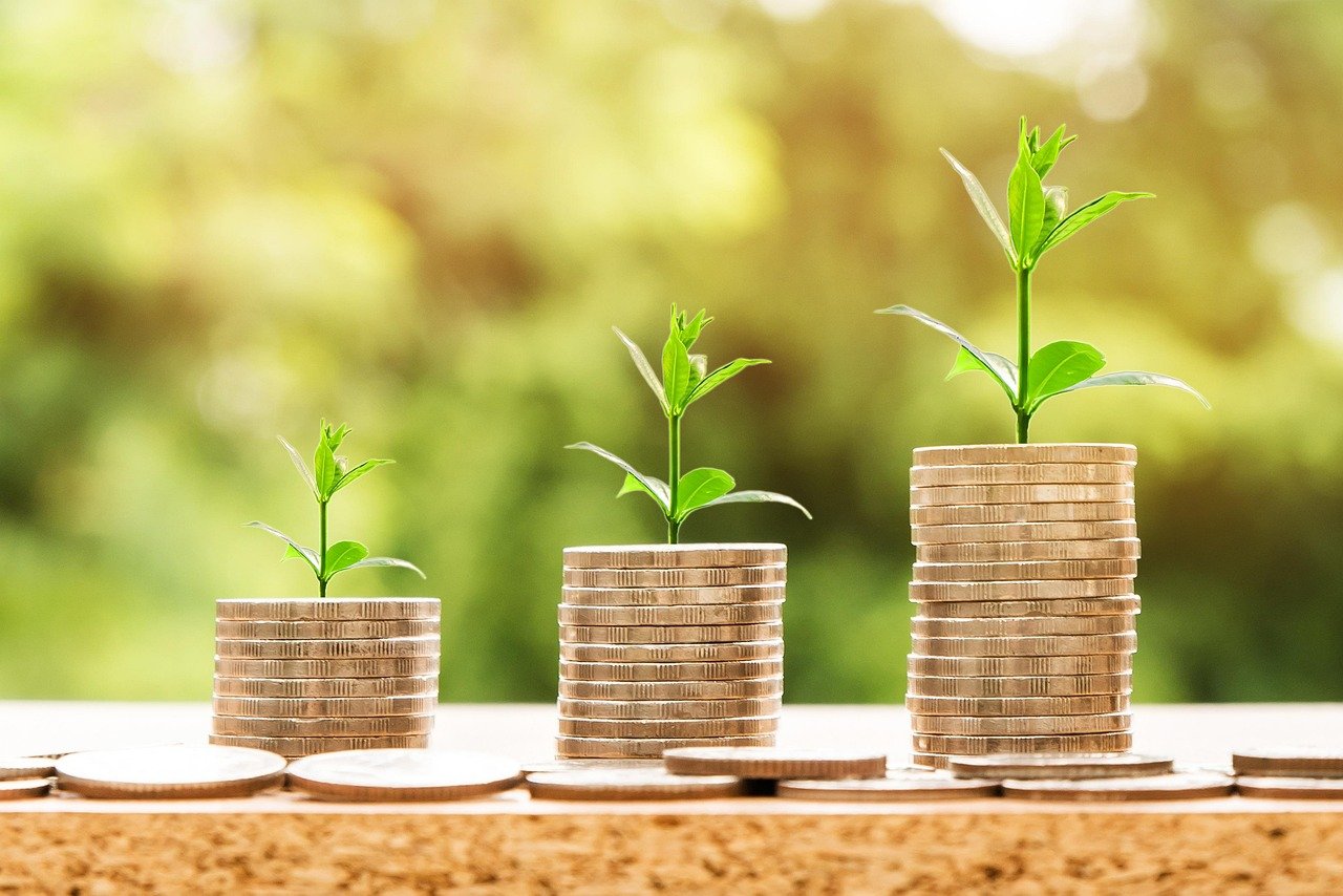 Wissenschaft der finanziellen Bildung verstehen