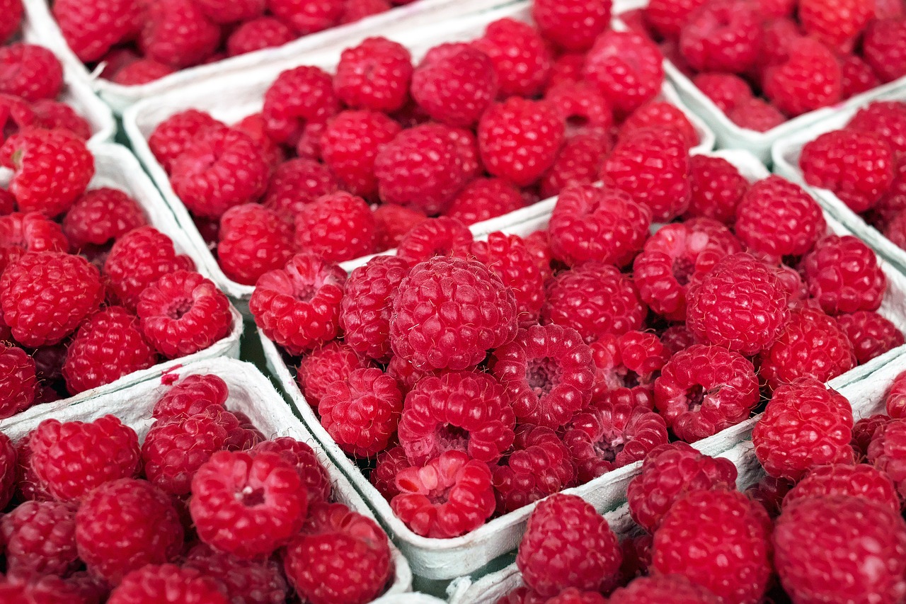 Herbstmarkt in Erlenbach: Entdecken Sie die Faire Meile voller Genuss und Nachhaltigkeit