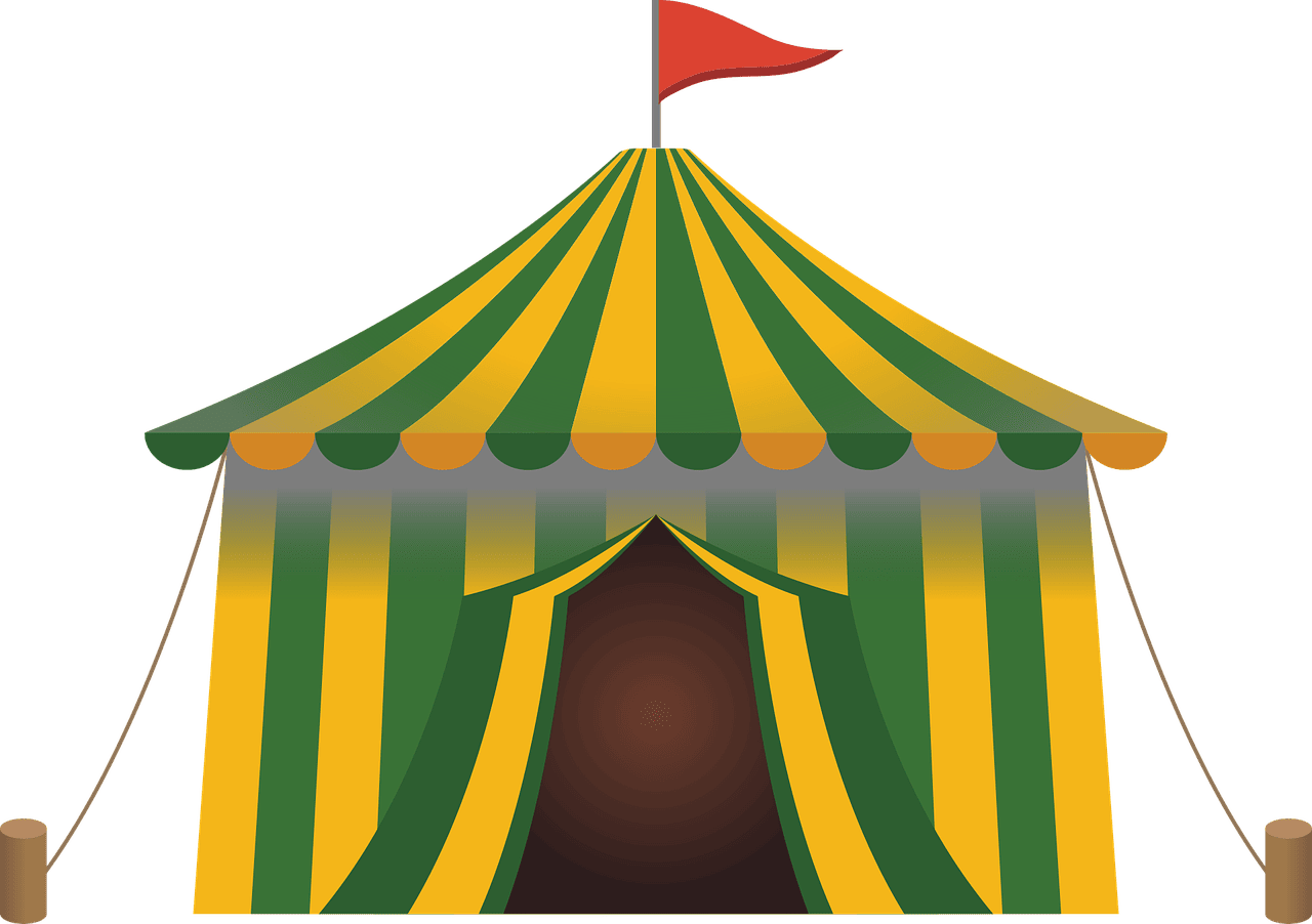 Die Qualen von Wildtieren im Zirkus: Ein Blick hinter die Kulissen