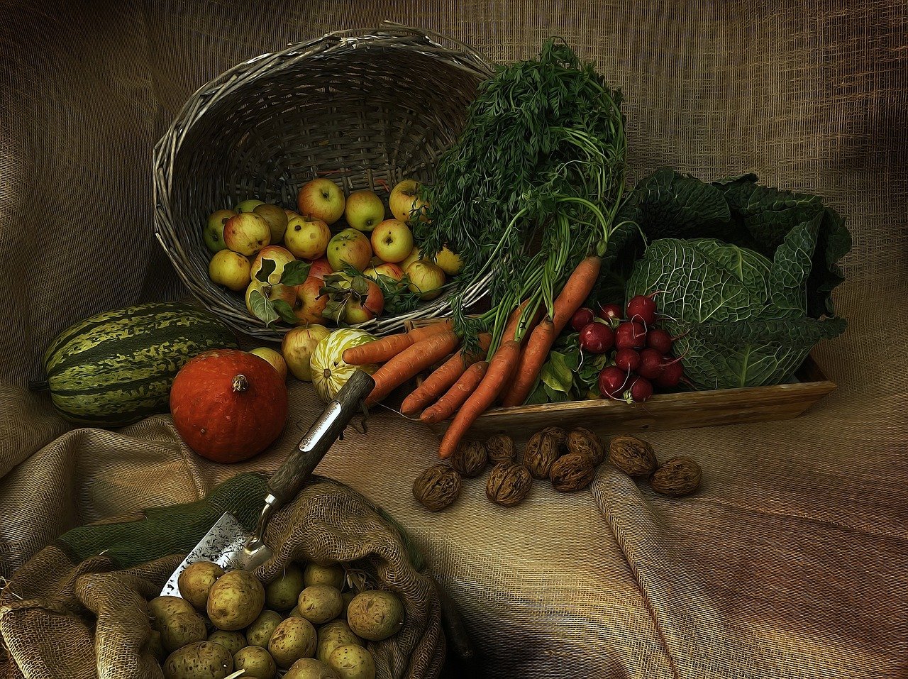 Die rolle der ernährung in der gesundheitspflege