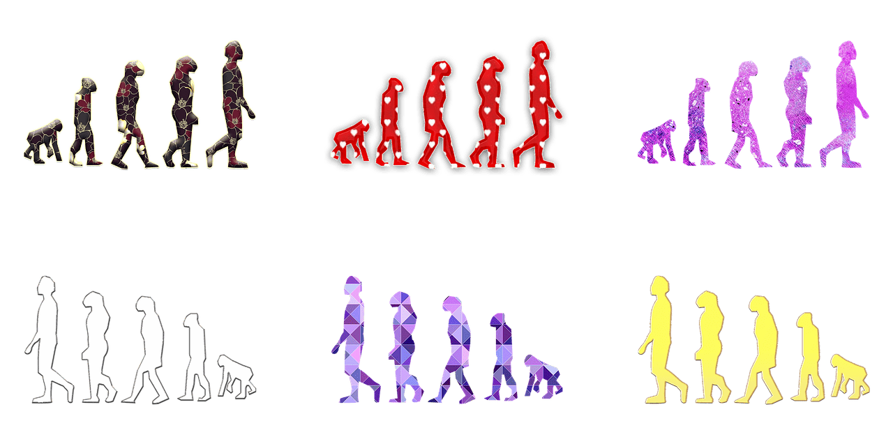 Die evolution des reisens: von der karawane zum flugzeug