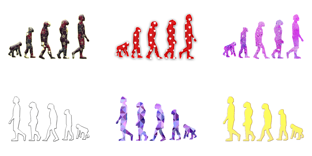 Die evolution des reisens: von der karawane zum flugzeug