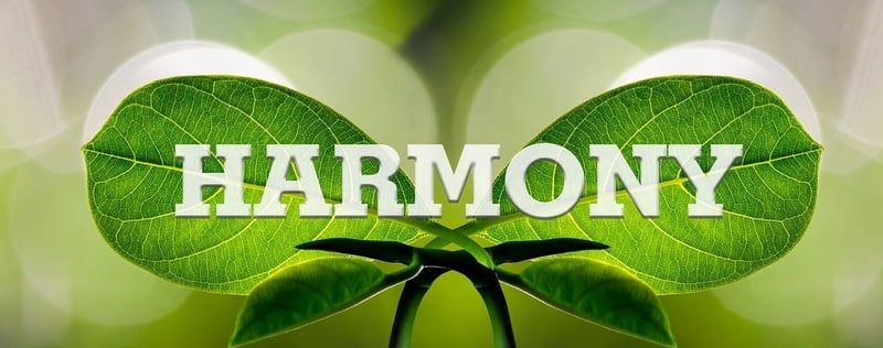 wie man harmonisch am untermain zusammenlebt
