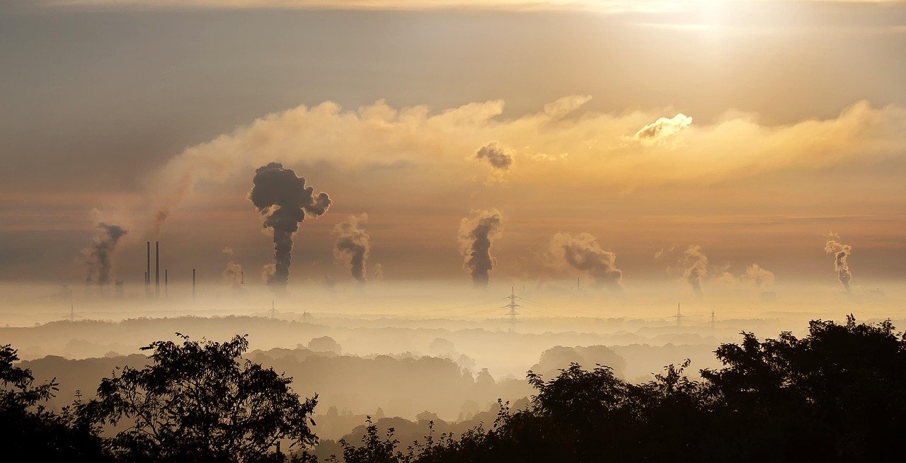 Umweltschutz: die Leidenschaft für die Natur und die Freude daran