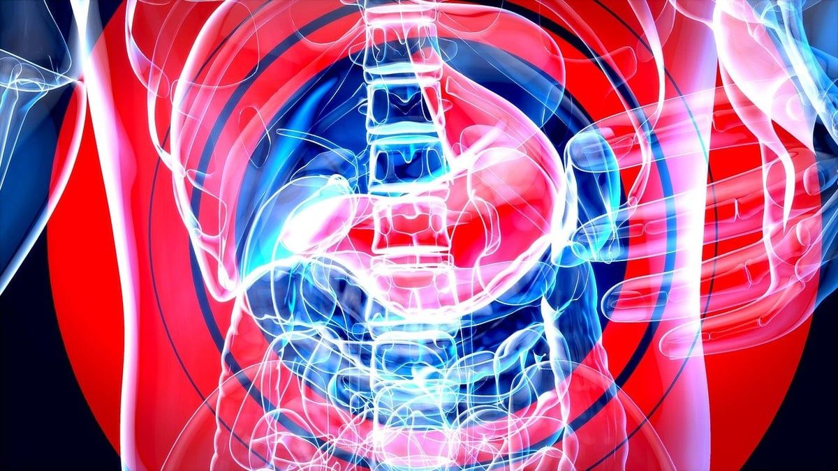 die plötzliche beliebtheit der darmgesundheit – das solltet ihr wirklich beachten