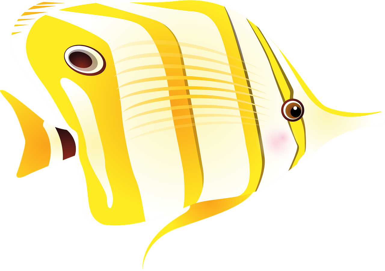 Wo man die besten fangfrischen fische probiert