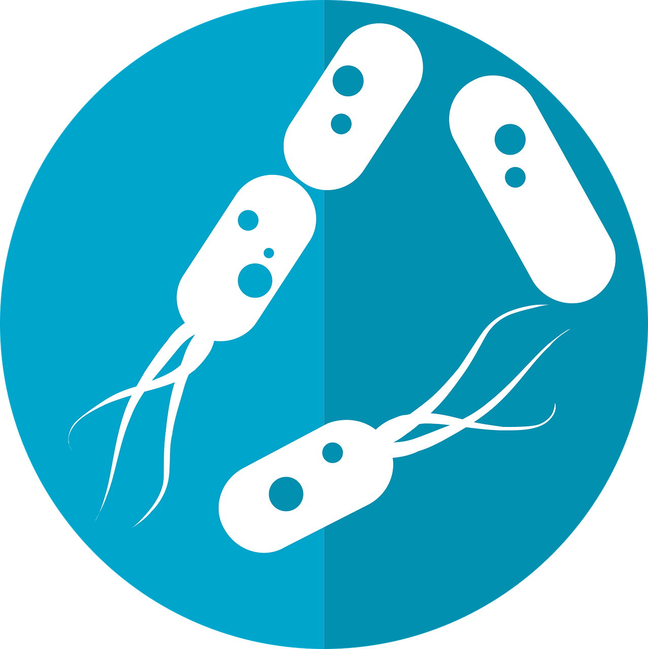 Die Bedeutung eines gesunden Mikrobioms für unsere Gesundheit
