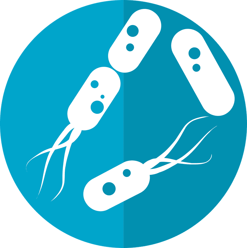 Die Bedeutung eines gesunden Mikrobioms für unsere Gesundheit