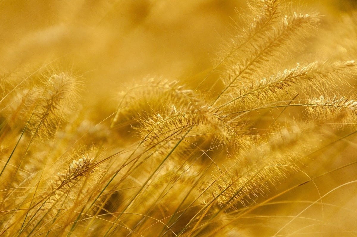 Wittener Unternehmer entdeckt in seiner Freizeit das Goldgräberfieber