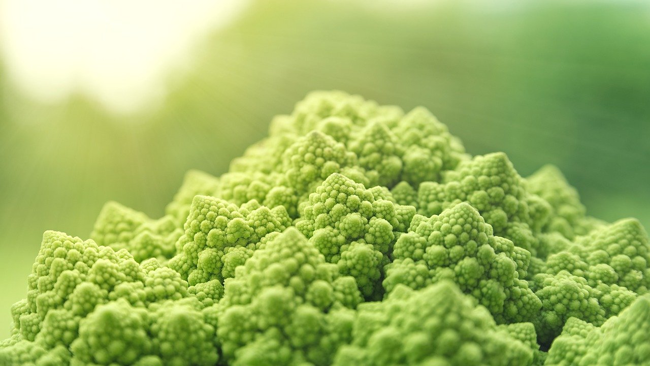 Kulinarische Entdeckungstour in Kyōto: Vegane Delikatessen aus der Kaiserstadt