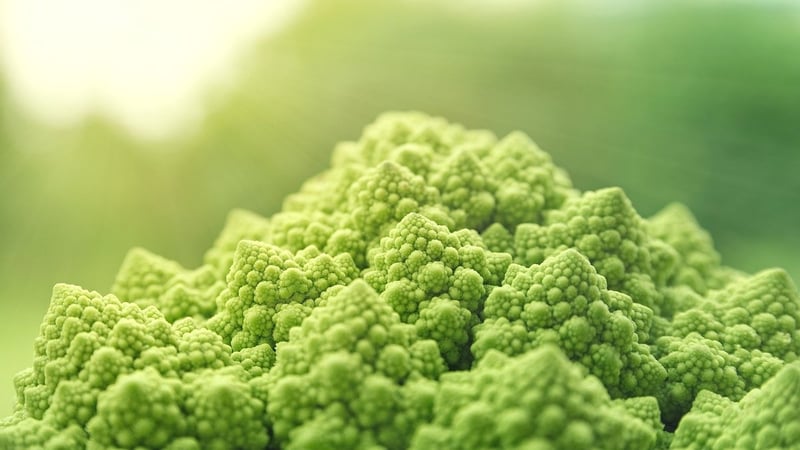 Kulinarische Entdeckungstour in Kyōto: Vegane Delikatessen aus der Kaiserstadt