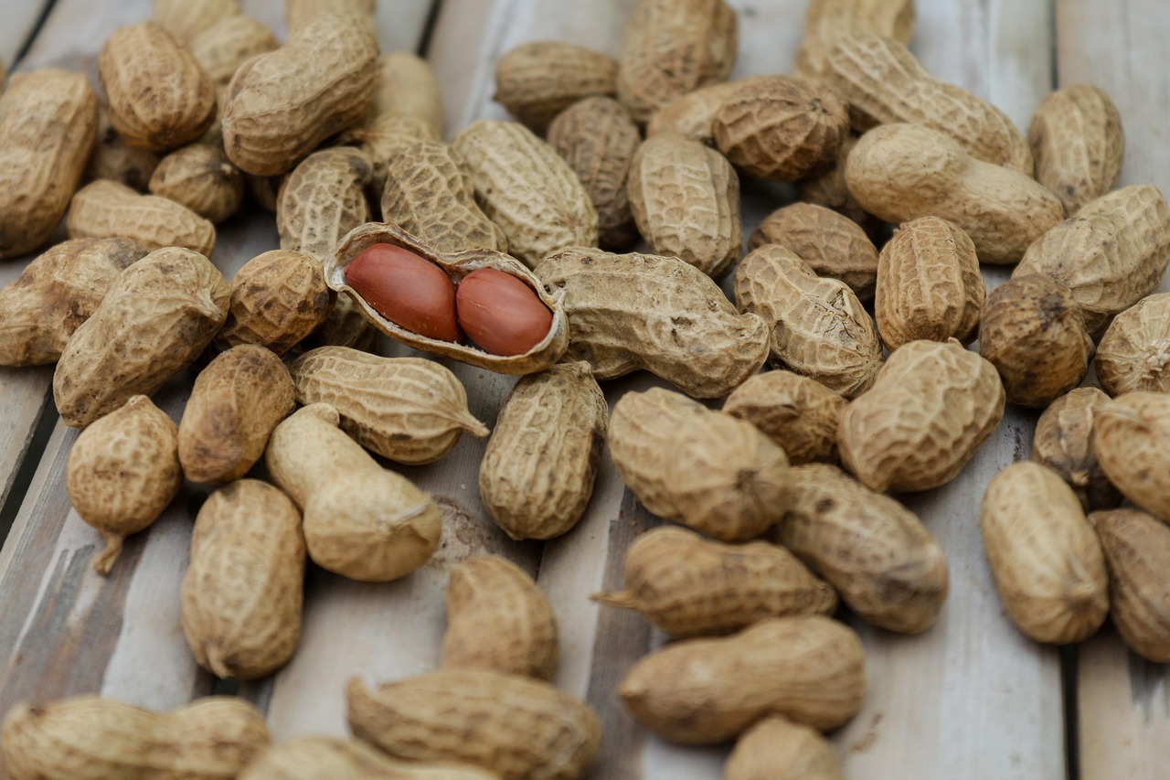 Aktuelle Broschüre präsentiert die neuesten DGE-Empfehlungen für eine ausgewogene Ernährung und optimale Flüssigkeitszufuhr