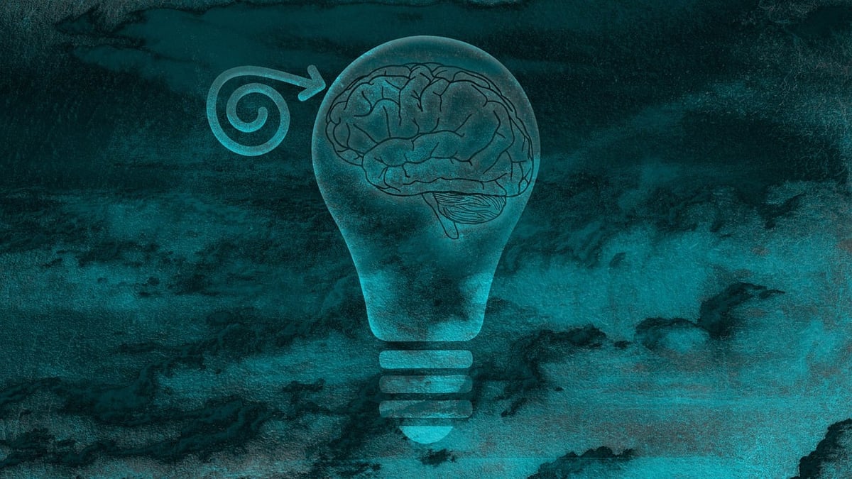 Neurowissenschaftliche Einblicke: Die besonderen Merkmale von Menschen mit umfangreichem Allgemeinwissen