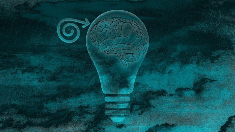 Neurowissenschaftliche Einblicke: Die besonderen Merkmale von Menschen mit umfangreichem Allgemeinwissen