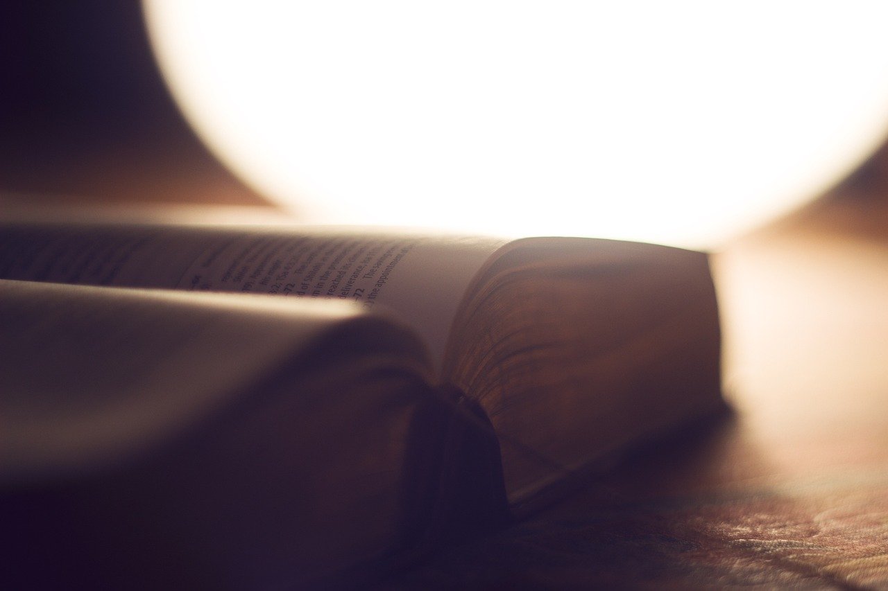 Langeweile ade: Die Top 10 der spannendsten Wissensbücher