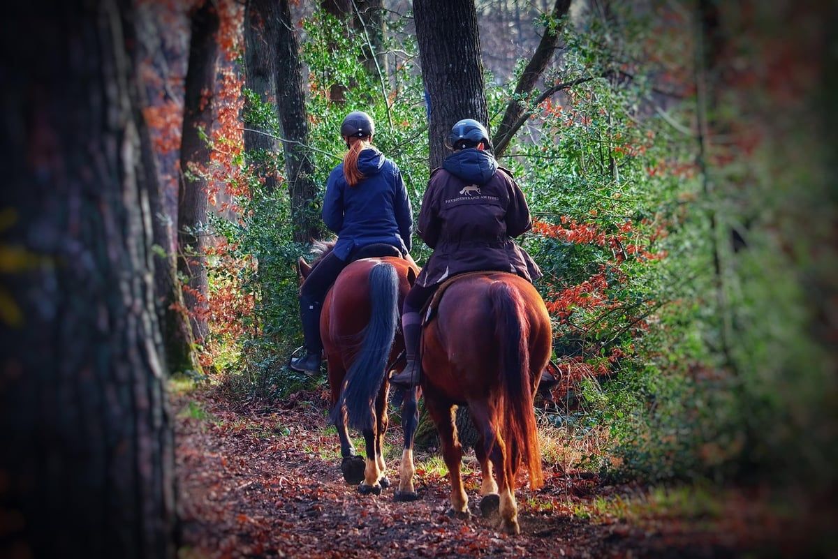 Hobby Horsing: 20 Mädchen treten im Wettbewerb mit ihren Steckenpferden an