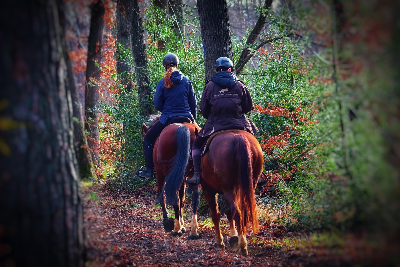 Hobby Horsing: 20 Mädchen treten im Wettbewerb mit ihren Steckenpferden an