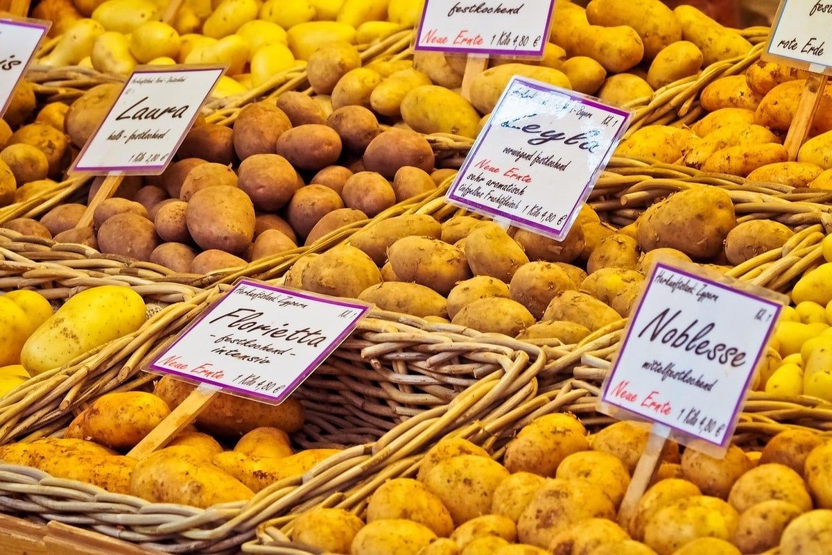 Nach 333 Tagen zurück: Böseler erobern den neuen Combi-Markt
