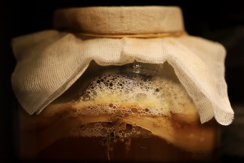 Die gesundheitlichen vorteile von fermentierten lebensmitteln