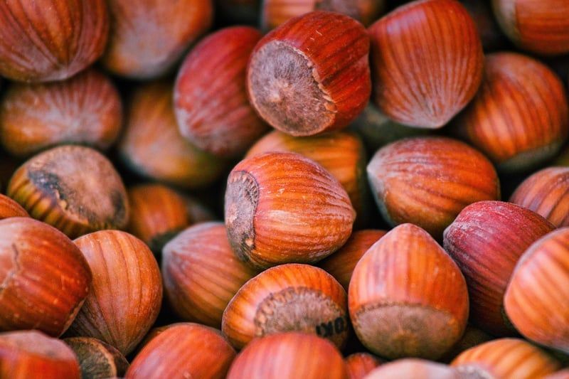 Eiweiß: Mythos oder Wahrheit? Neun Ernährungslügen unter der Lupe
