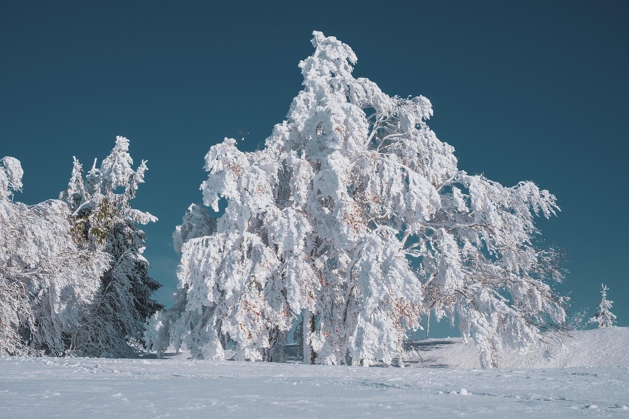 Eberbacher Winterdorf: Ein Winterzauber vom 02. bis 26. Januar 2025