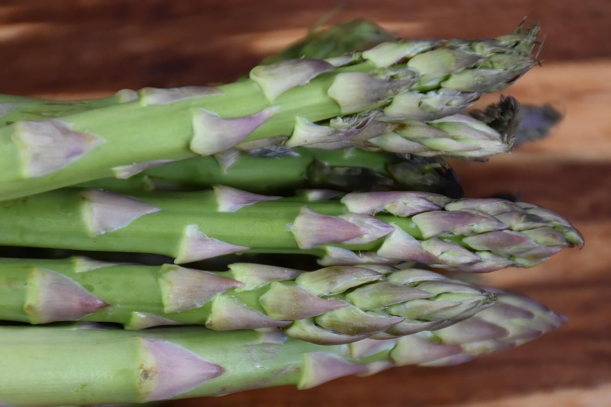 Nicht für jeden gesund: Wer auf Spargel verzichten sollte