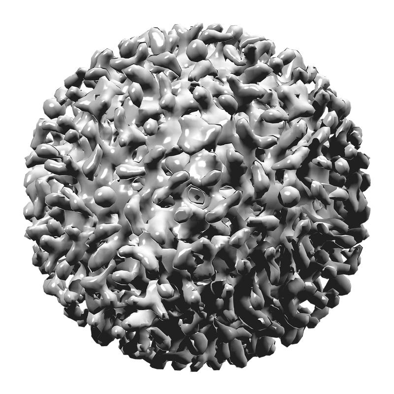 Verstehen von Hepatitis B: Ursachen, Symptome und Präventionsmaßnahmen