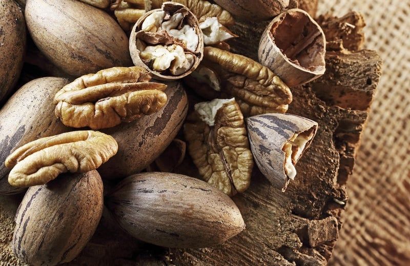Festival-Vorbereitungen: Diese köstlichen Snacks sind ein Muss!