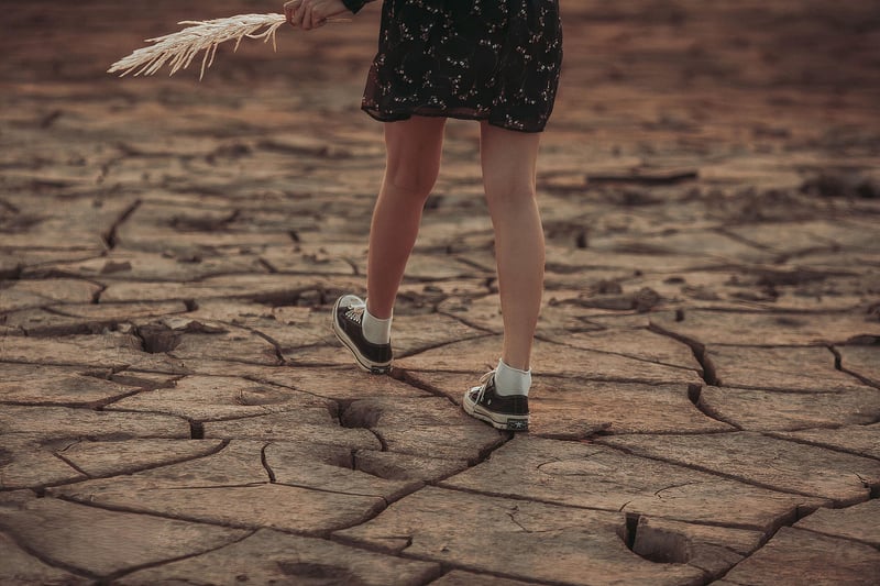 Die Auswirkungen des Klimawandels auf die menschliche Gesundheit
