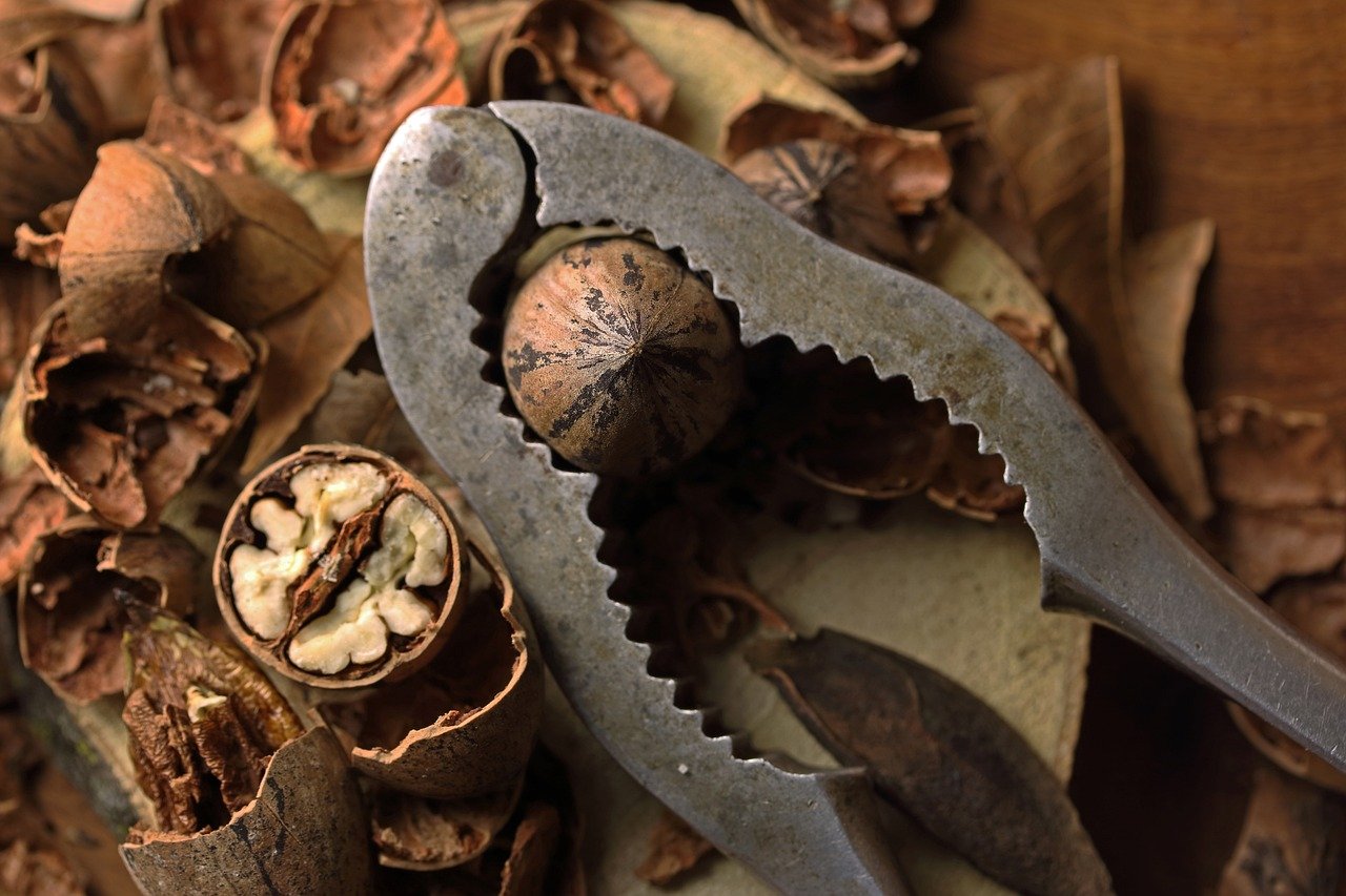 entdecken sie die vielfalt der nüsse – gesunde snacks voller geschmack, perfekt für jede gelegenheit. erfahren sie mehr über ihre vorteile und verwendungsmöglichkeiten in ihrer ernährung.