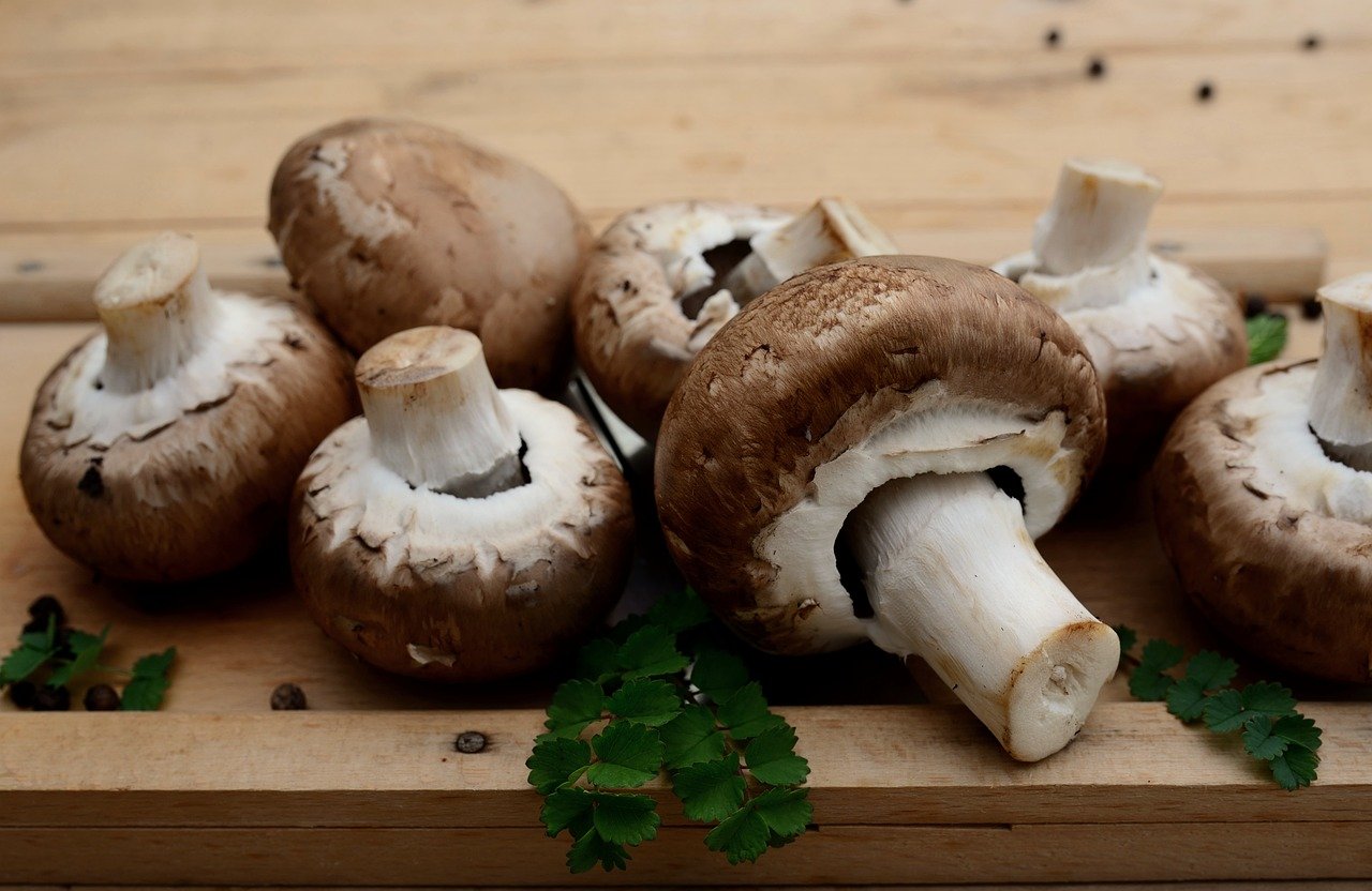 entdecken sie die vielfalt regionaler zutaten, die frische aromen und authentische geschmäcker in ihre küche bringen. unterstützen sie lokale bauern und genießen sie nachhaltige, saisonale lebensmittel.