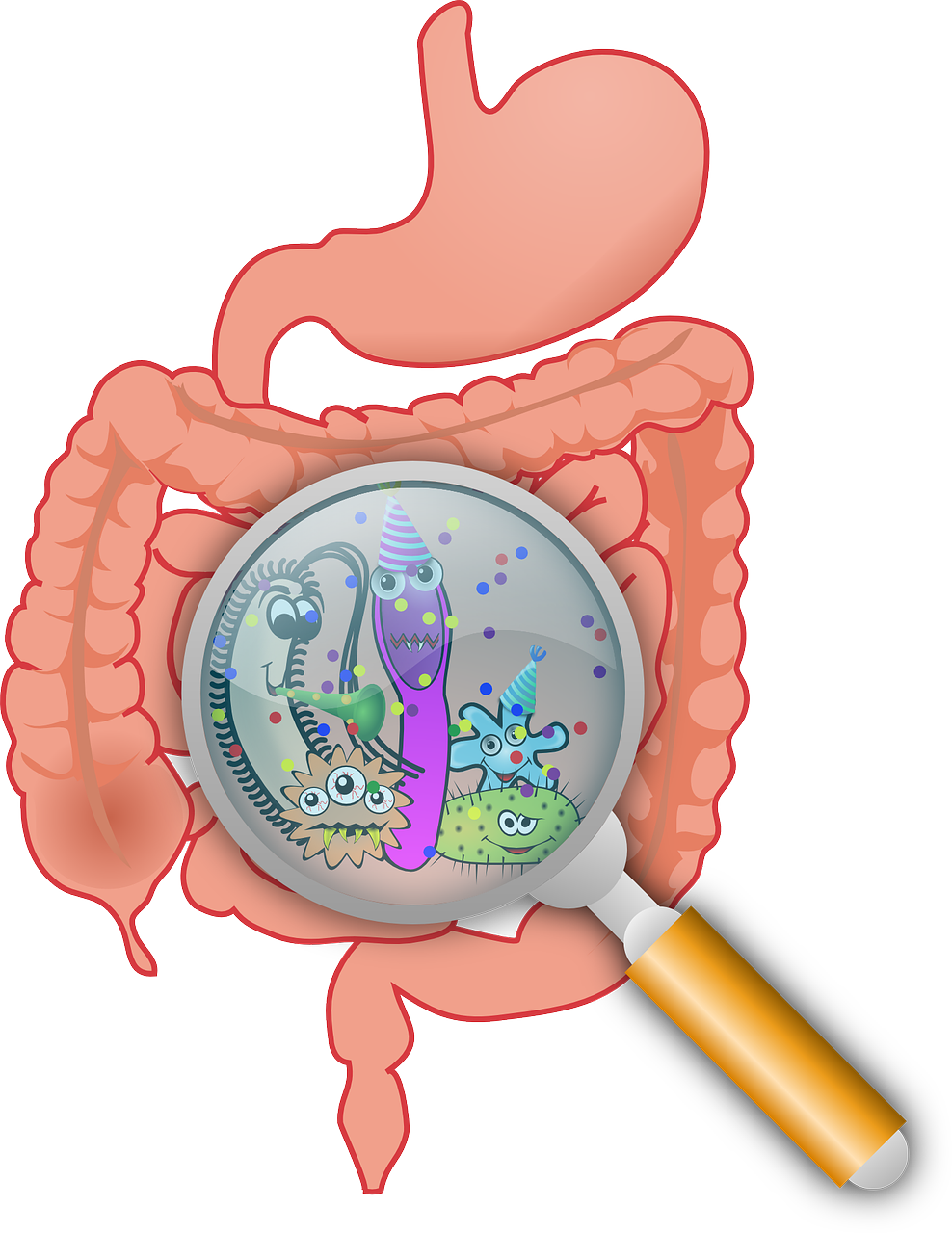 entdecken sie die faszinierende welt des gut mikrobioms. erfahren sie, wie die darmbakterien ihre gesundheit, verdauung und ihr allgemeines wohlbefinden beeinflussen können.