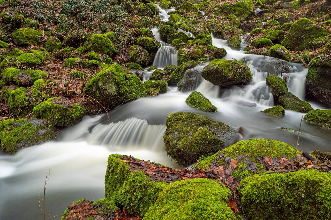 entdecken sie die faszinierende welt des wassers – seine eigenschaften, bedeutung für das leben und seine rolle in unserer umwelt. erfahren sie mehr über die wasserressourcen, deren schutz und die vielfältigen anwendungen in unserem alltag.