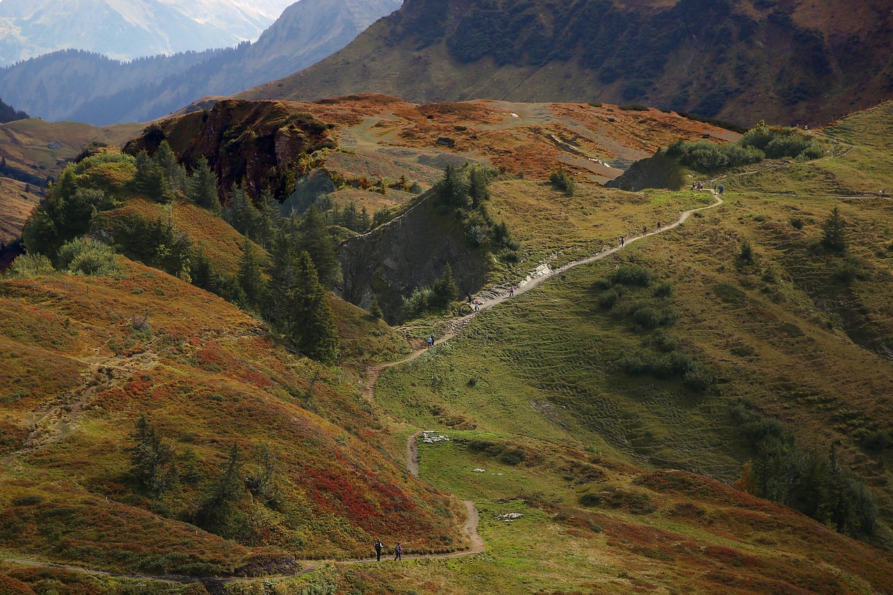 entdecken sie atemberaubende reiseziele und erleben sie unvergessliche abenteuer mit unseren maßgeschneiderten touren. lassen sie sich von der schönheit der landschaften und der vielfalt der kulturen verzaubern!