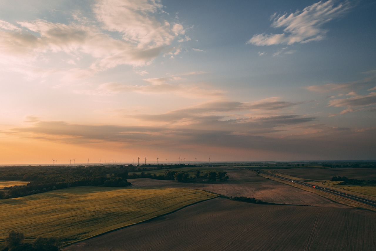 entdecken sie die neuesten trends und strategien zur nachhaltigkeit. erfahren sie, wie umweltfreundliche praktiken und nachhaltige lösungen unseren planeten schützen und für zukünftige generationen erhalten können.