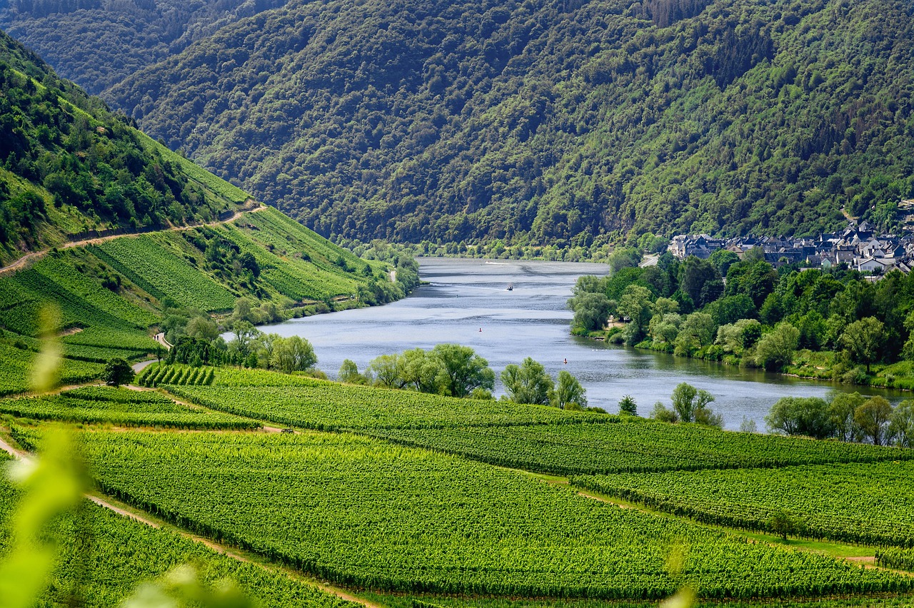 entdecken sie die schönheit der moselle, eine malerische region deutschlands, bekannt für ihre weinberge, charmanten dörfer und beeindruckenden flusslandschaften. genießen sie genussmomente bei weinproben, wanderungen und kulturellen erlebnissen entlang der mosel.