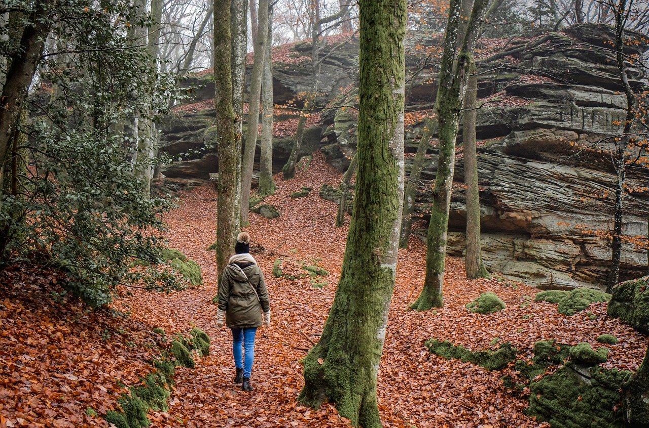 entdecken sie die schönheit der natur beim wandern! genießen sie atemberaubende landschaften, frische luft und unvergessliche abenteuer auf den besten wanderwegen deutschlands.