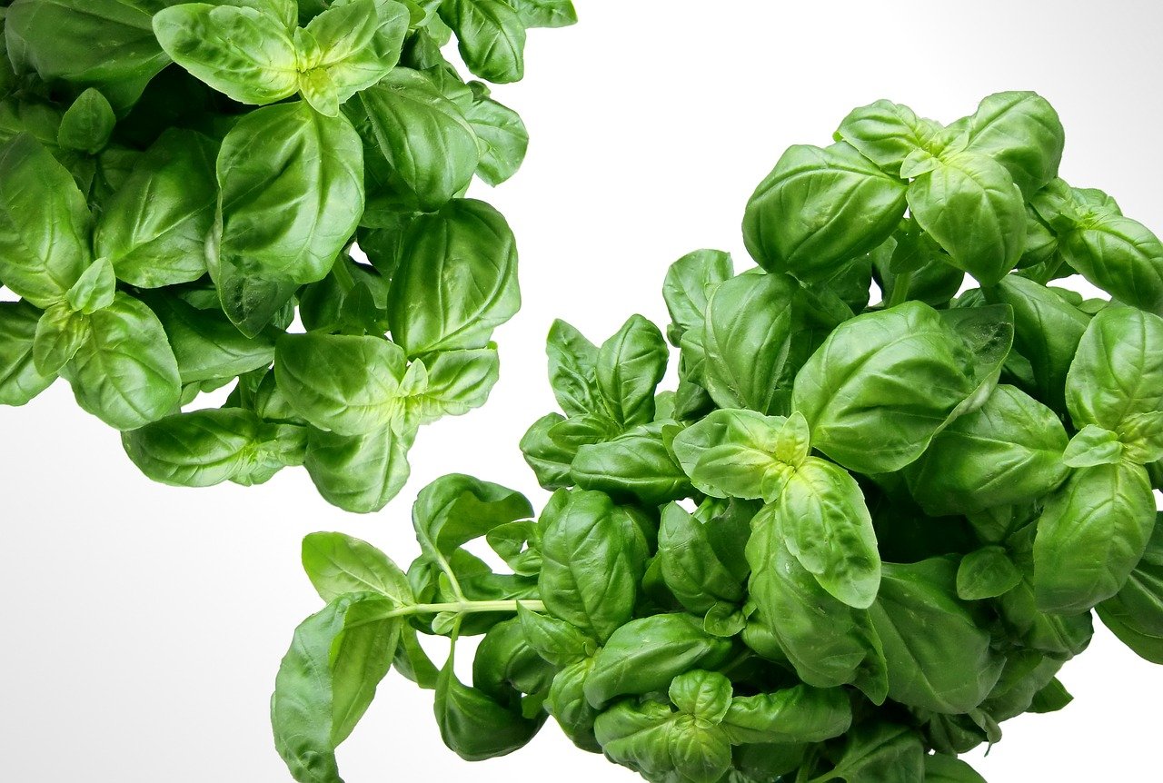 frische zutaten für gesunde und schmackhafte gerichte. entdecken sie die vielfalt und qualität unserer sorgfältig ausgewählten zutaten, die jedem rezept leben einhauchen.