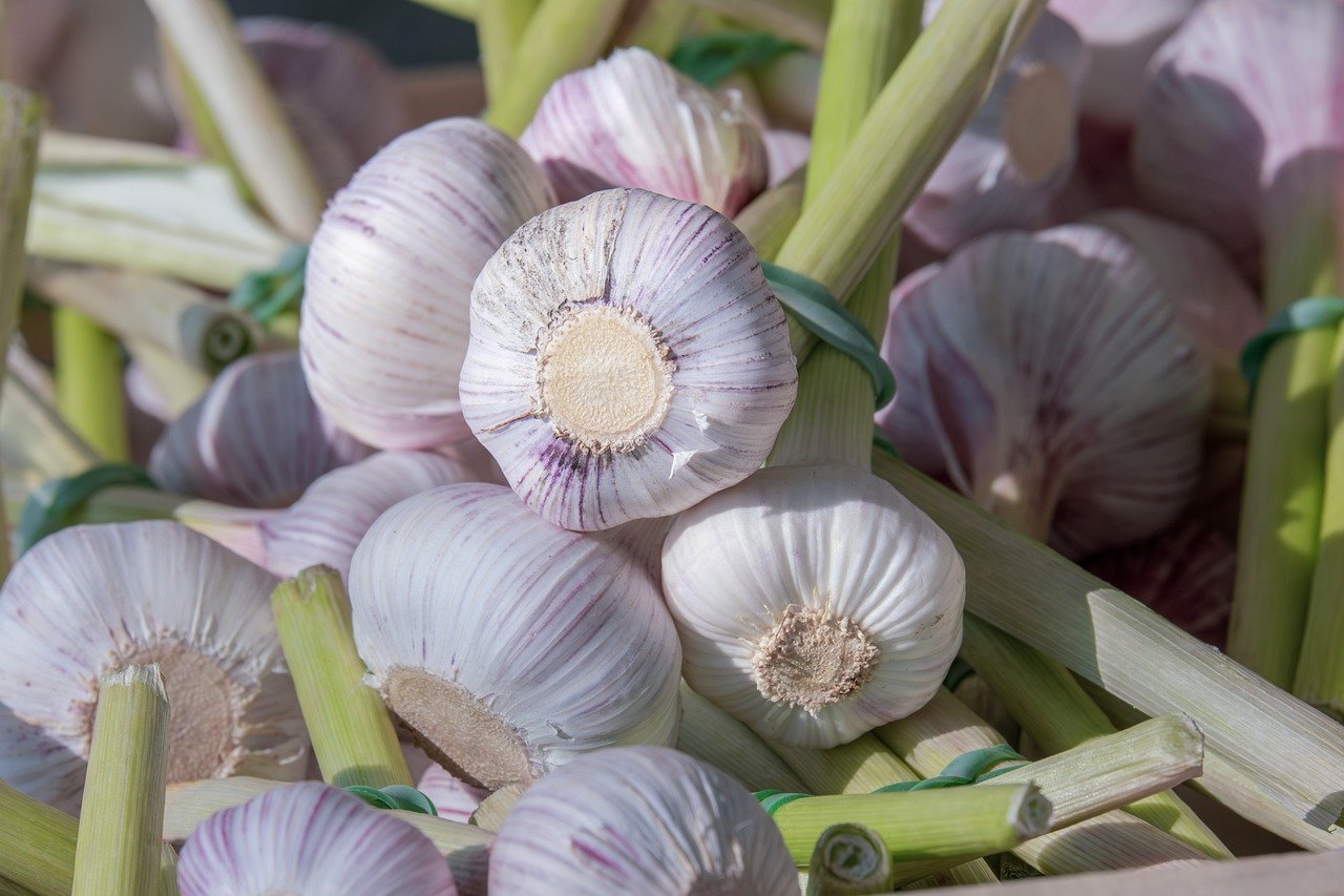 entdecken sie die faszinierende welt der kulinarischen köstlichkeiten! von traditionellen rezepten bis hin zu modernen gourmet-innovationen – lassen sie sich von neuen geschmackserlebnissen inspirieren und werden sie zum meister in ihrer eigenen küche.