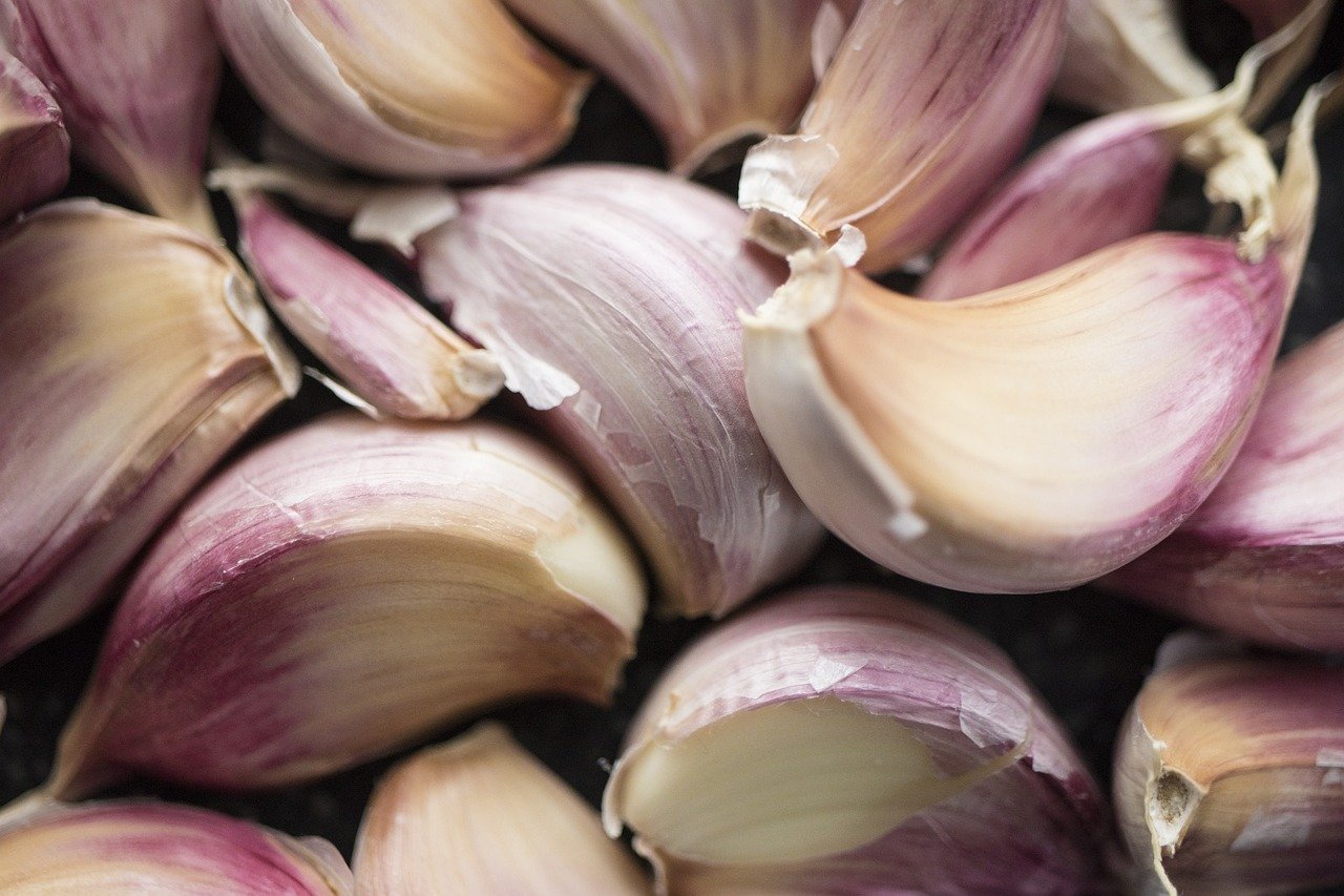 entdecken sie gesunde kochrezepte und ernährungstipps, die ihnen helfen, ausgewogene und schmackhafte gerichte zuzubereiten. genießen sie eine vielzahl von nahrhaften zutaten und steigern sie ihr wohlbefinden durch gesundes kochen.