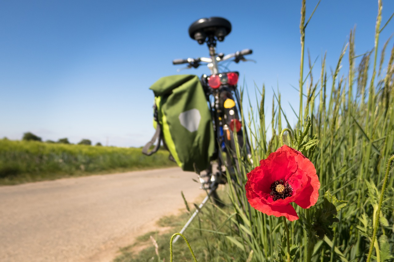 entdecken sie spannende freizeitaktivitäten für jeden geschmack! von outdoor-abenteuern bis hin zu kreativen workshops - finden sie die perfekte möglichkeit, ihre freizeit zu genießen und neue hobbys zu entdecken.